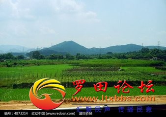t0177393d859dc41b6f.jpg