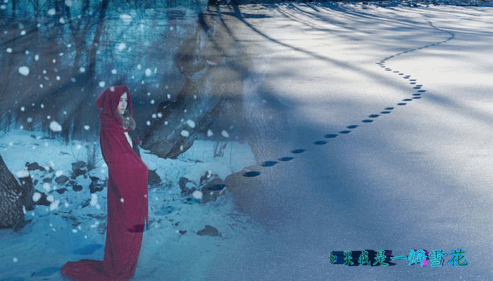PICer201816102.gif