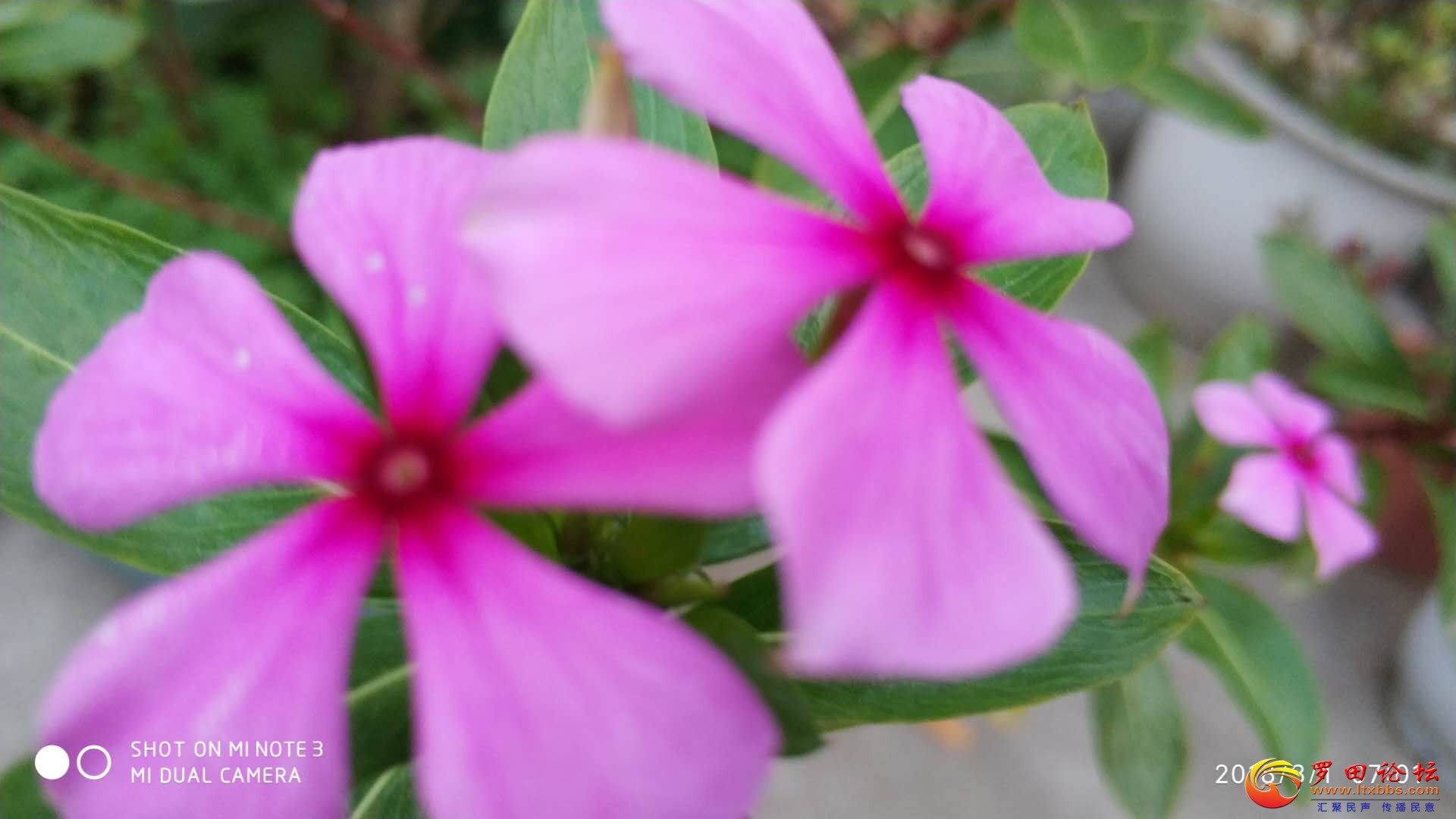 ΢ͼƬ_20180304165730.jpg