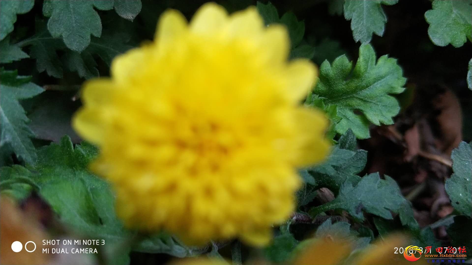 ΢ͼƬ_20180304165737.jpg