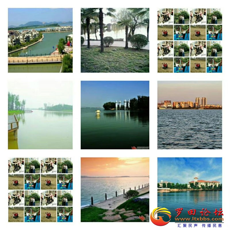 mmexport1518917758846.jpg