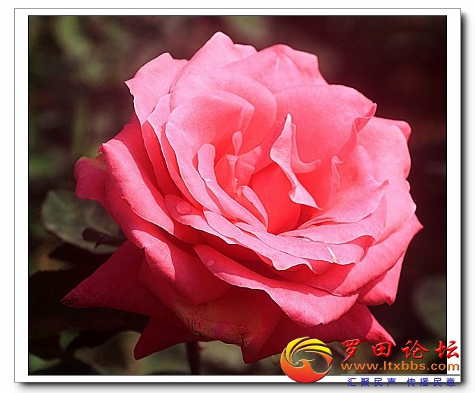 201325f3zwwow44coijd9w.jpg
