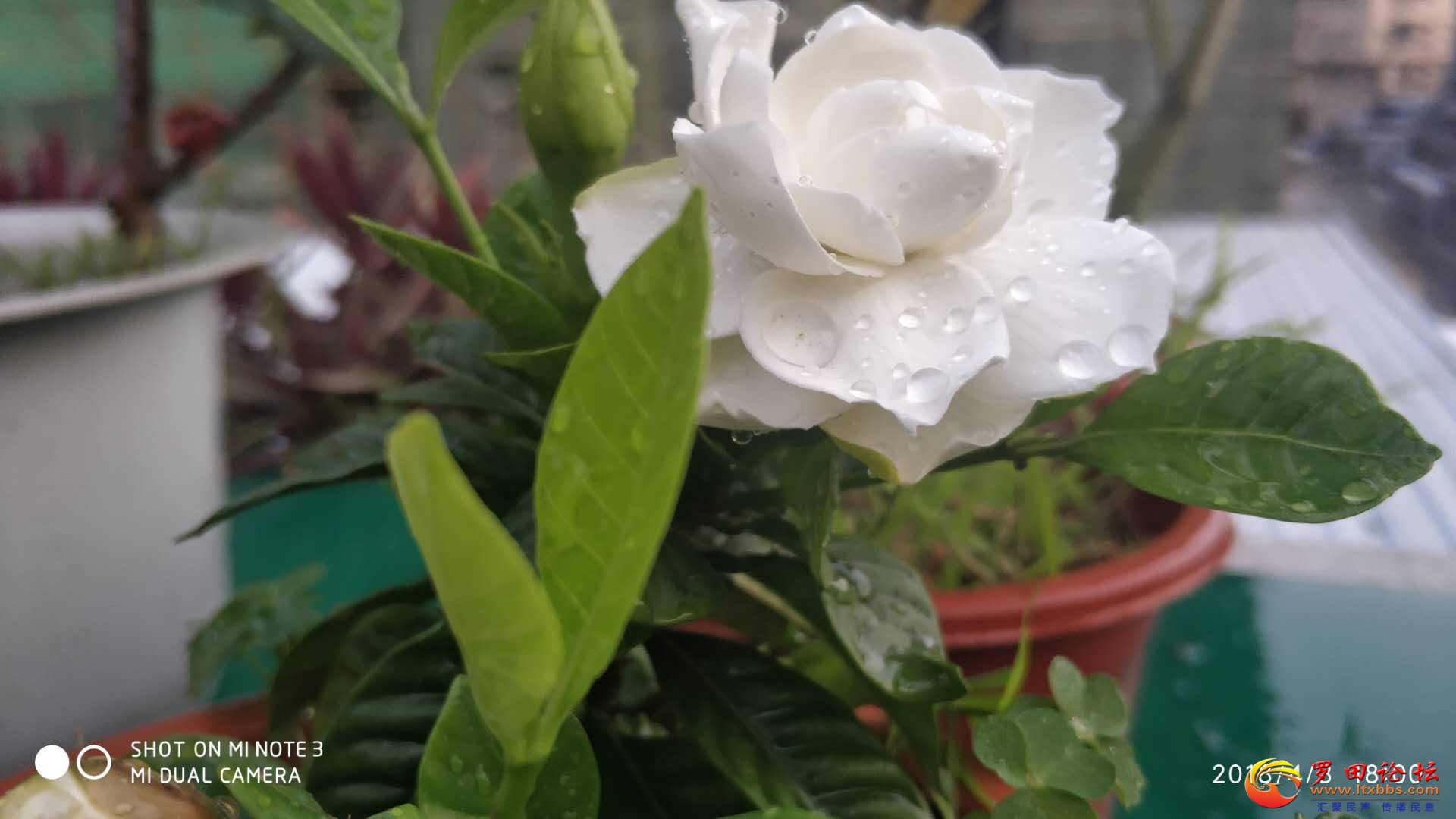 ΢ͼƬ_20180403203331.jpg