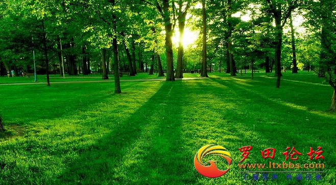 762077cc8db16c2f1406219b9c328d7861b96e7535b086-yx1G9s_fw658.jpg