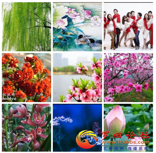 IMG_20180413_210136.png