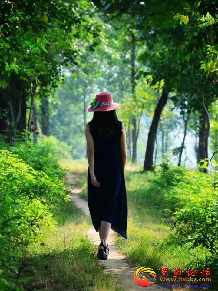 QQͼƬ20180411152614.jpg