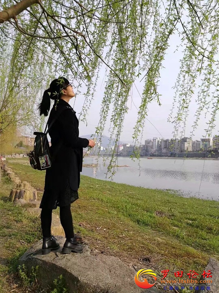QQͼƬ20180411152706.jpg