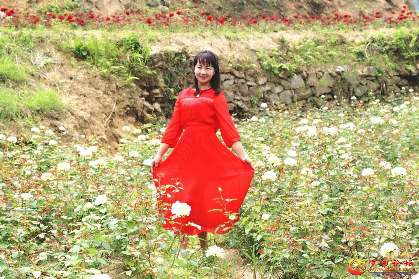 QQͼƬ20180429193534.jpg