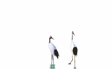 t0162e4df91b43d49b1.gif
