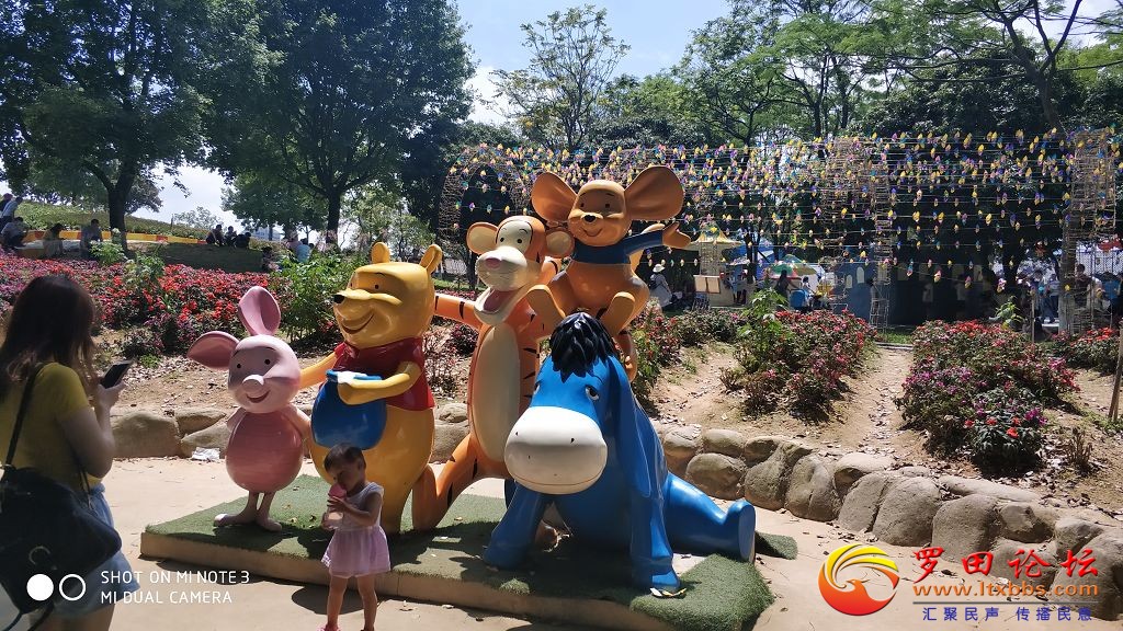 IMG_20180501_132642_HHT.jpg