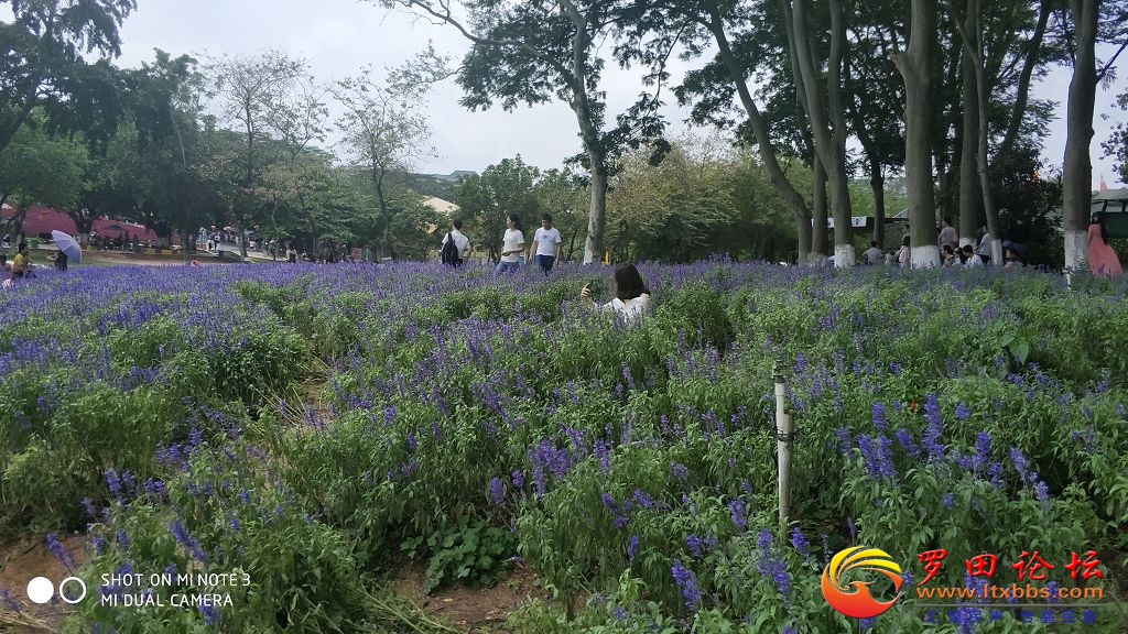 IMG_20180501_114358_HHT.jpg
