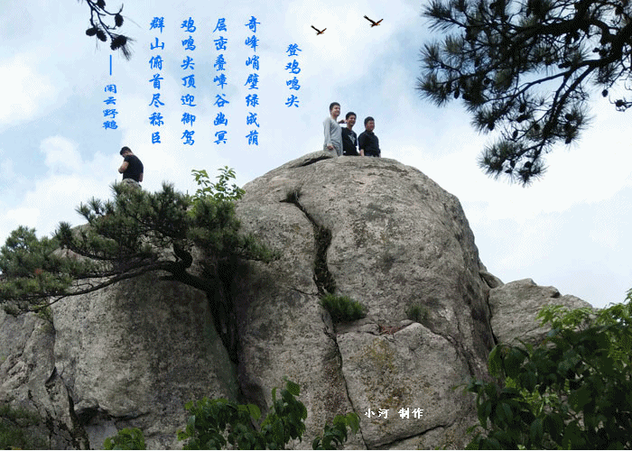 2.gif