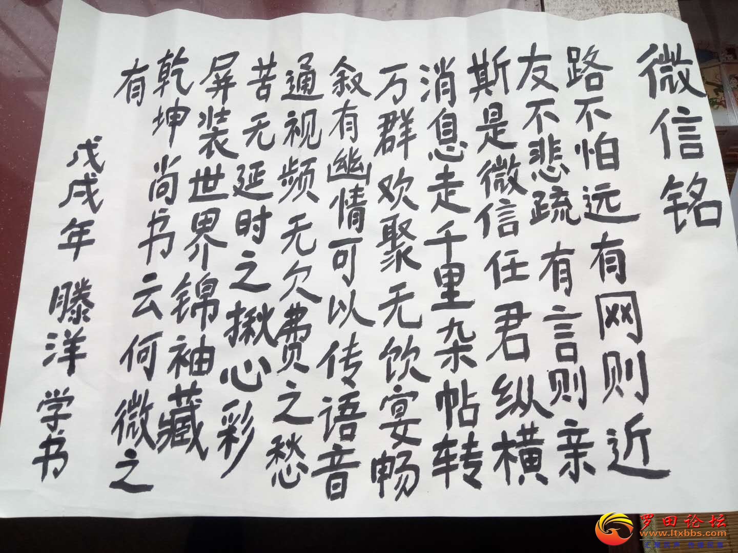 鷨ϰ.jpg