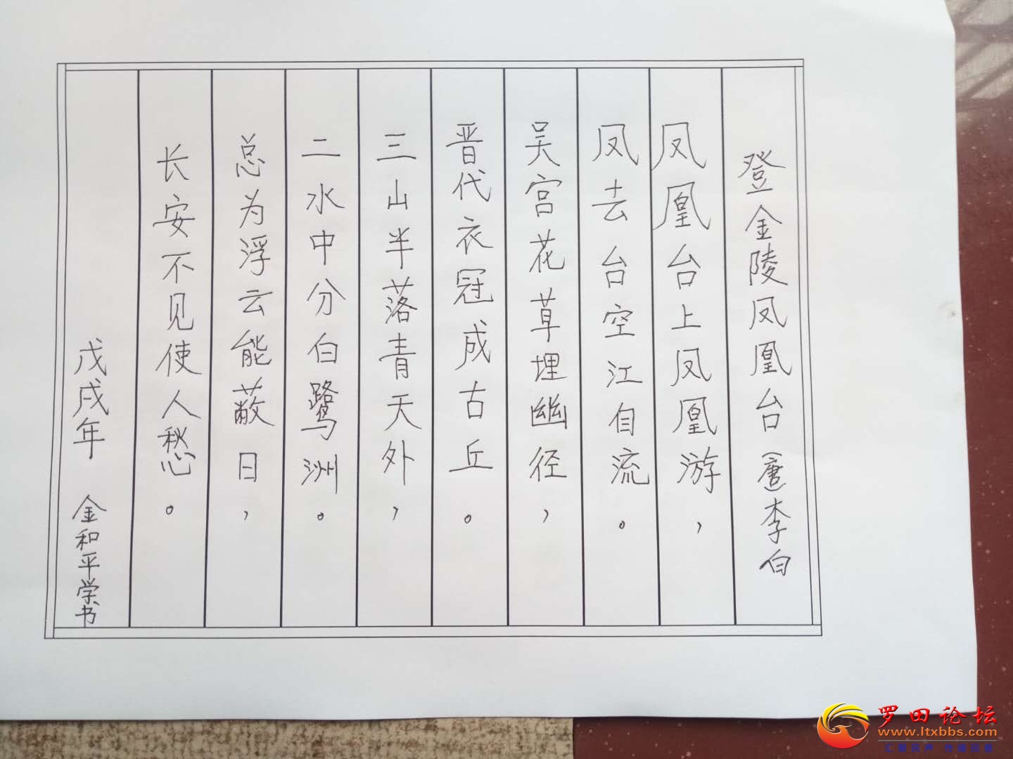 鷨Ӳ.jpg