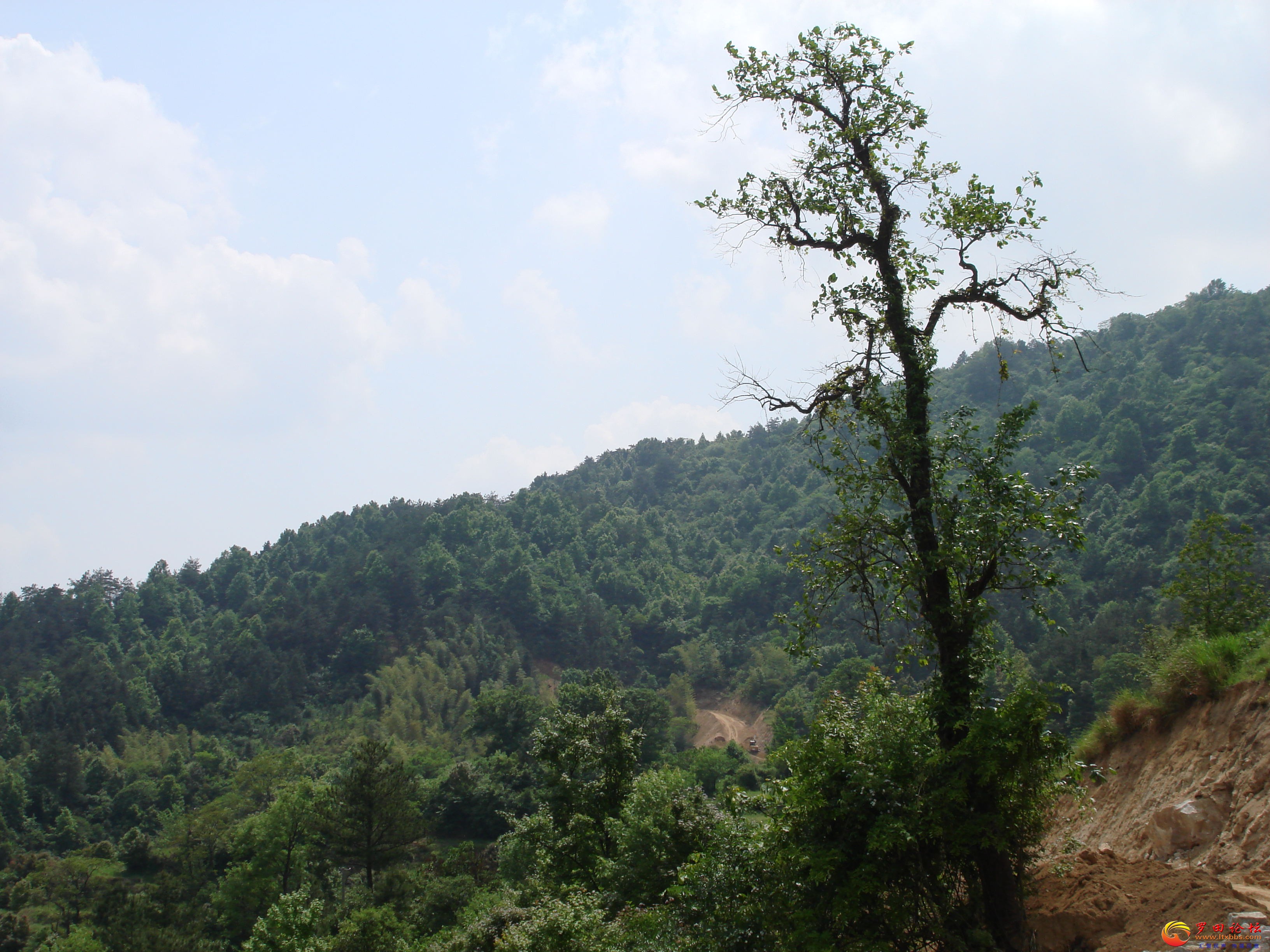 DSC01140_ͼ.jpg