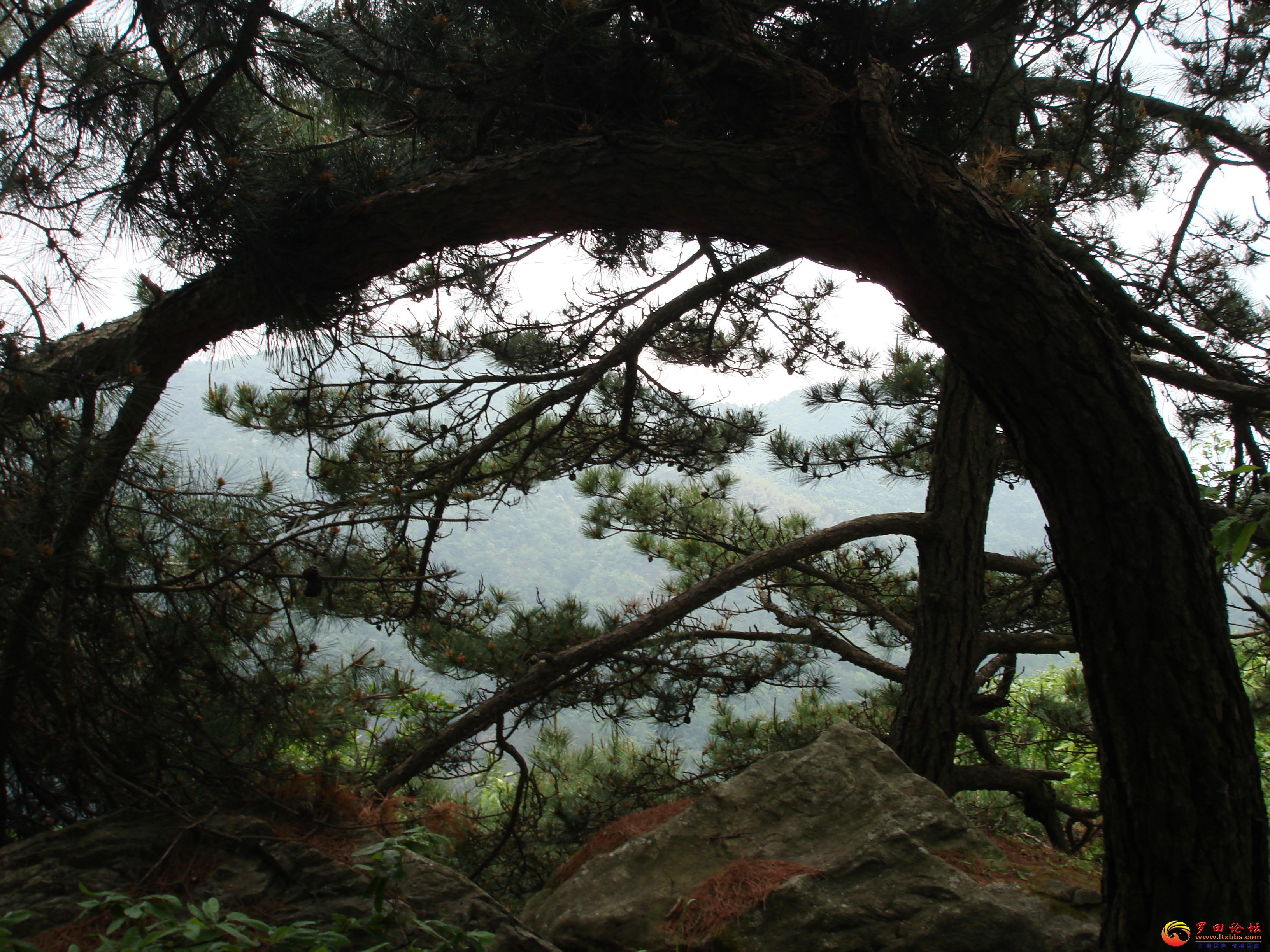 DSC01077_ͼ.jpg