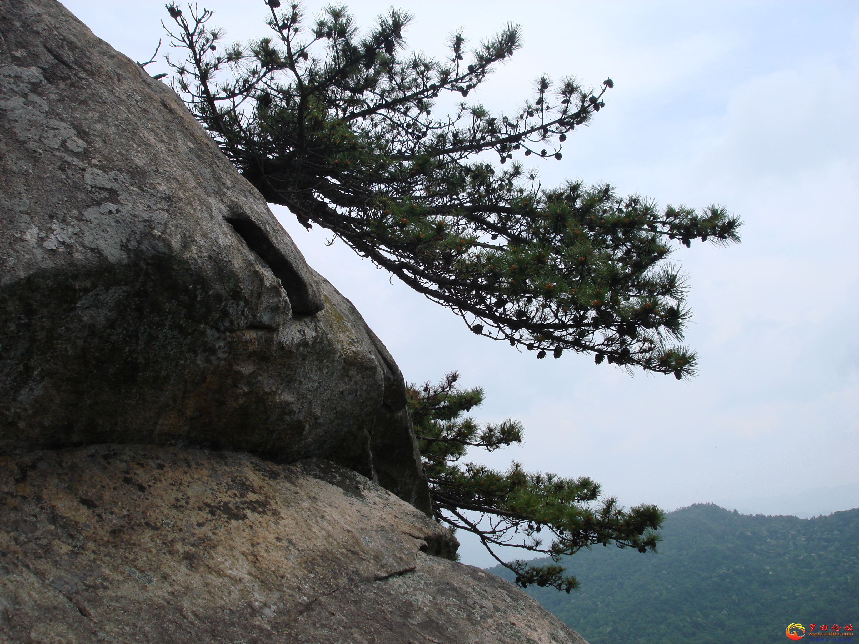DSC01093_ͼ.jpg