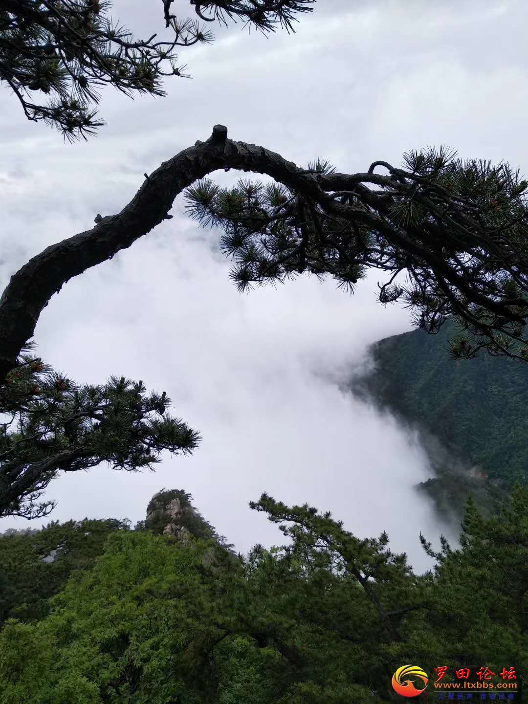΢ͼƬ_20180522175214.jpg