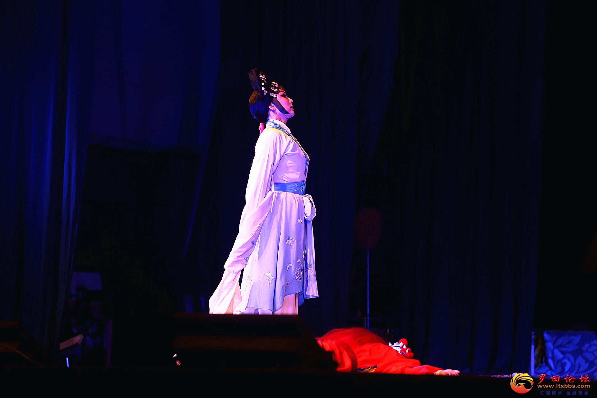 IMG_1545_.jpg