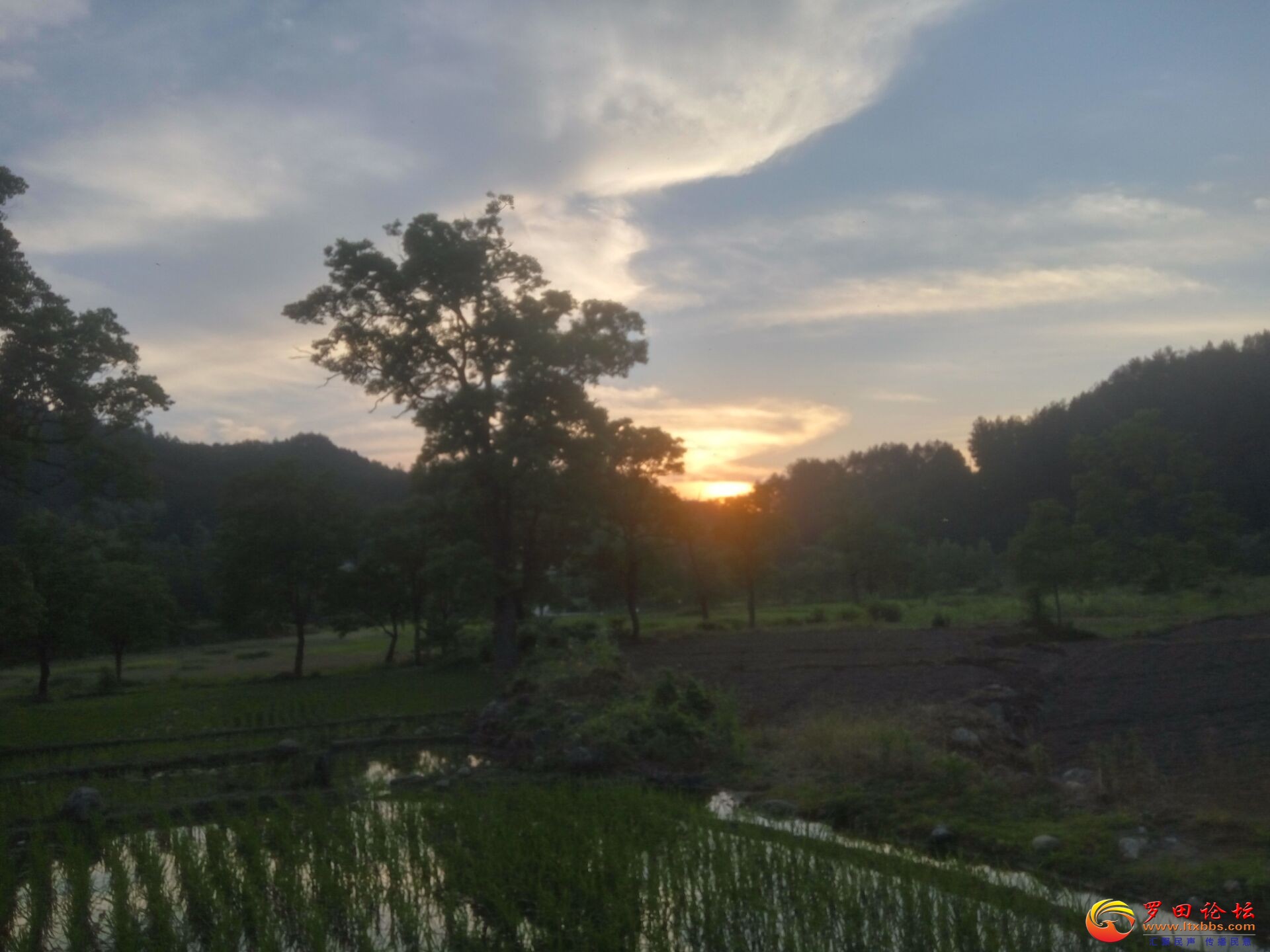 QQͼƬ20180615080746.jpg