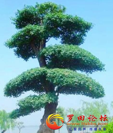 6[$ZAWZPIPVUH4M[SN`LC_A.jpg