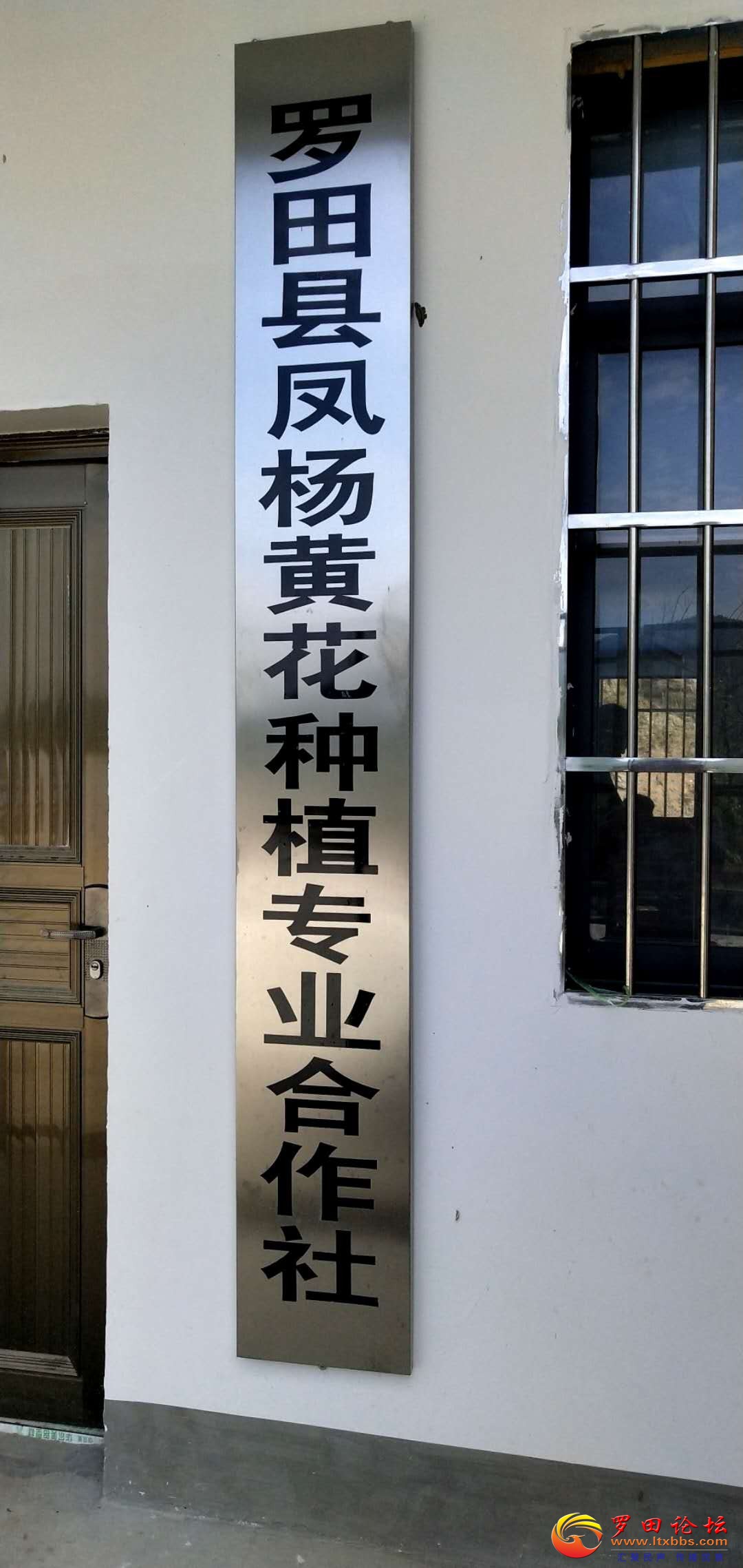 674179103249090319.jpg