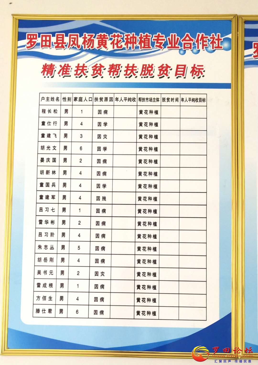 117548293045604026.jpg