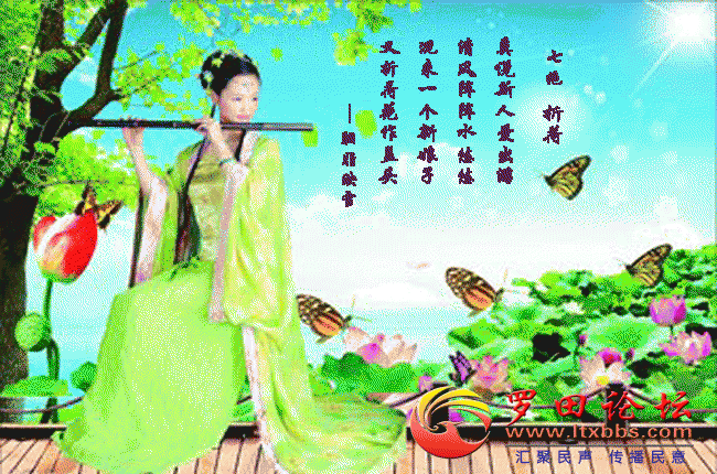 1.gif