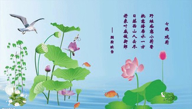5.gif