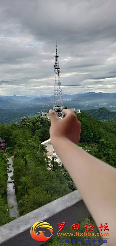 362591