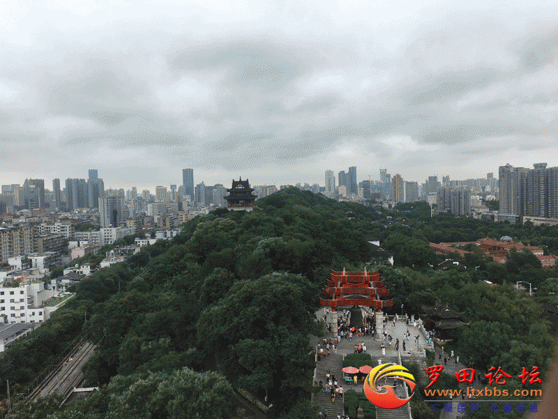3.gif