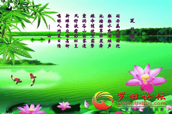 9.gif