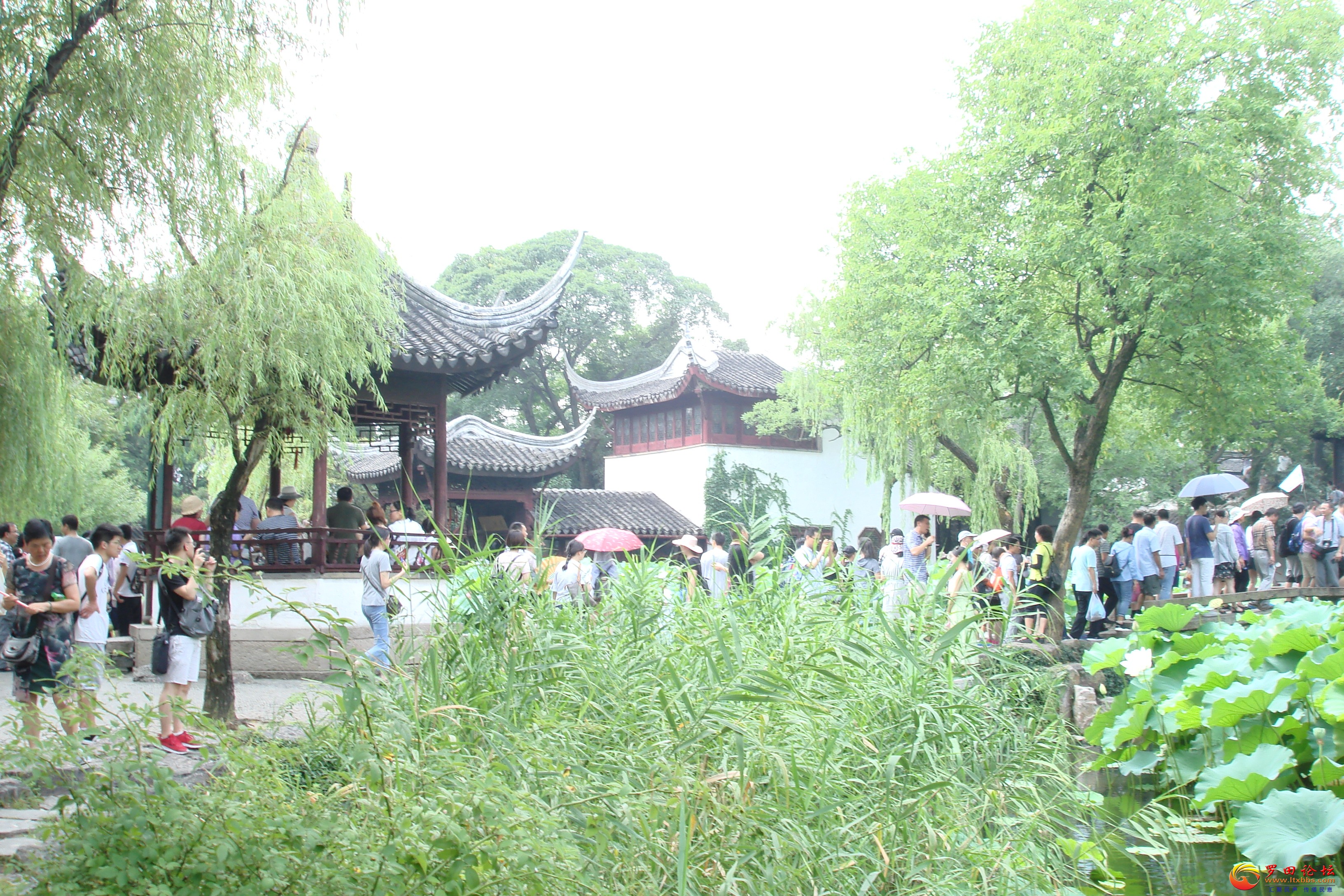 DSC02567.JPG