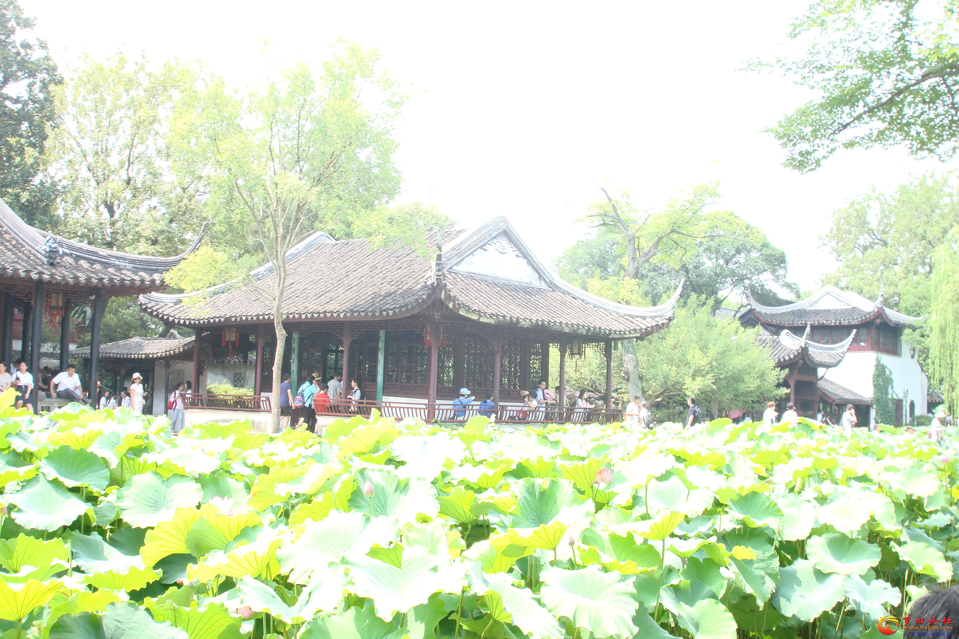 DSC02559_ͼ.jpg
