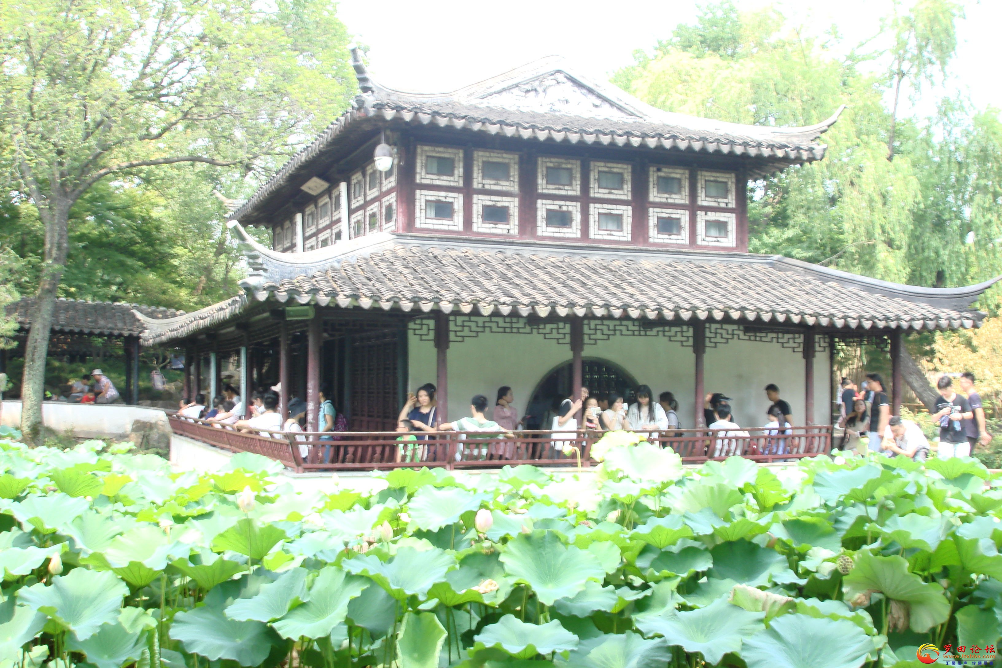 DSC02561_ͼ.jpg