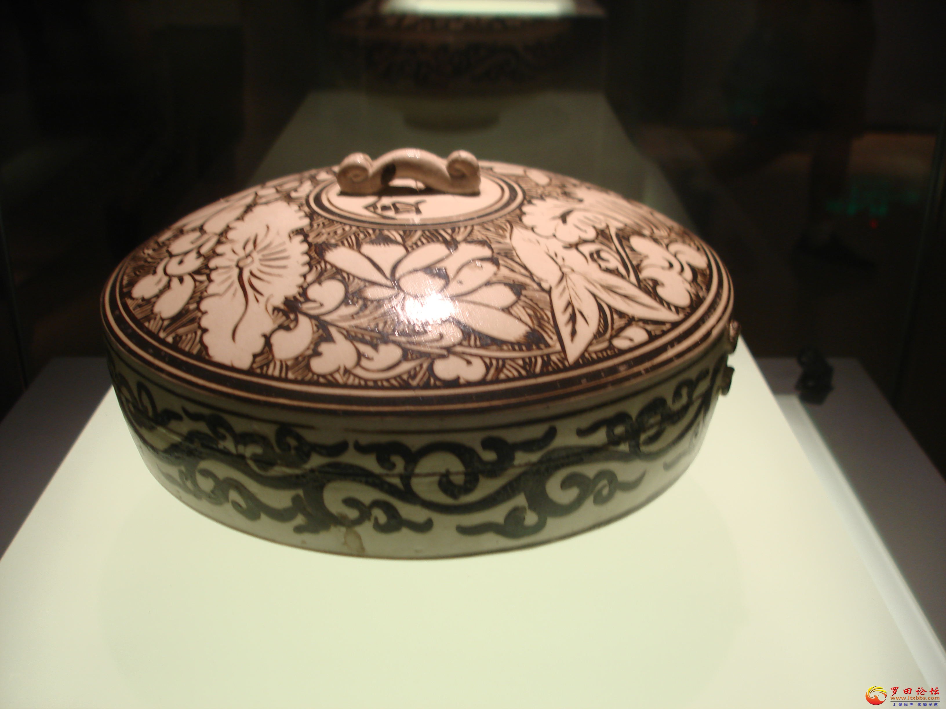 DSC02522_ͼ.jpg