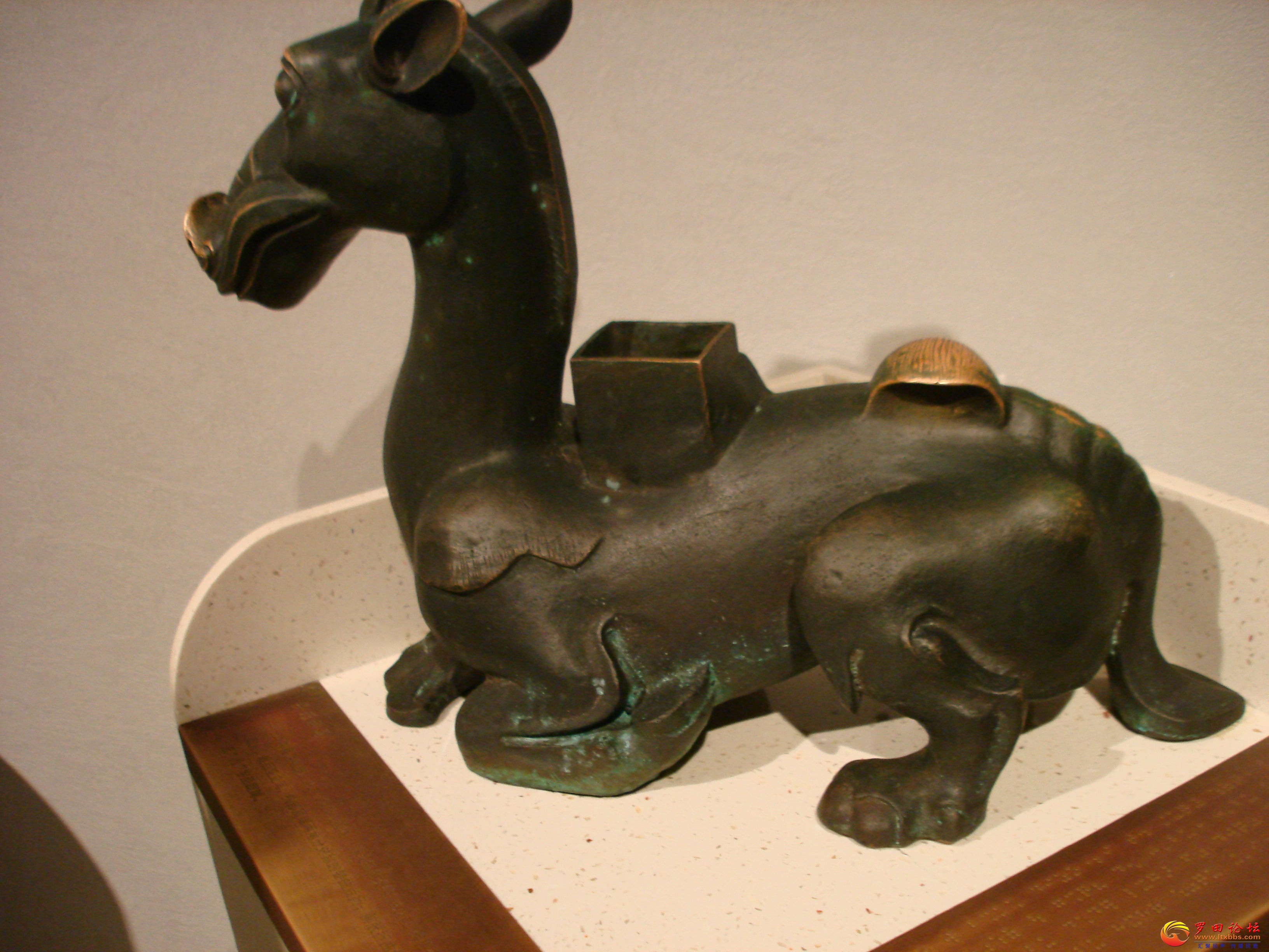 DSC02513_ͼ.jpg