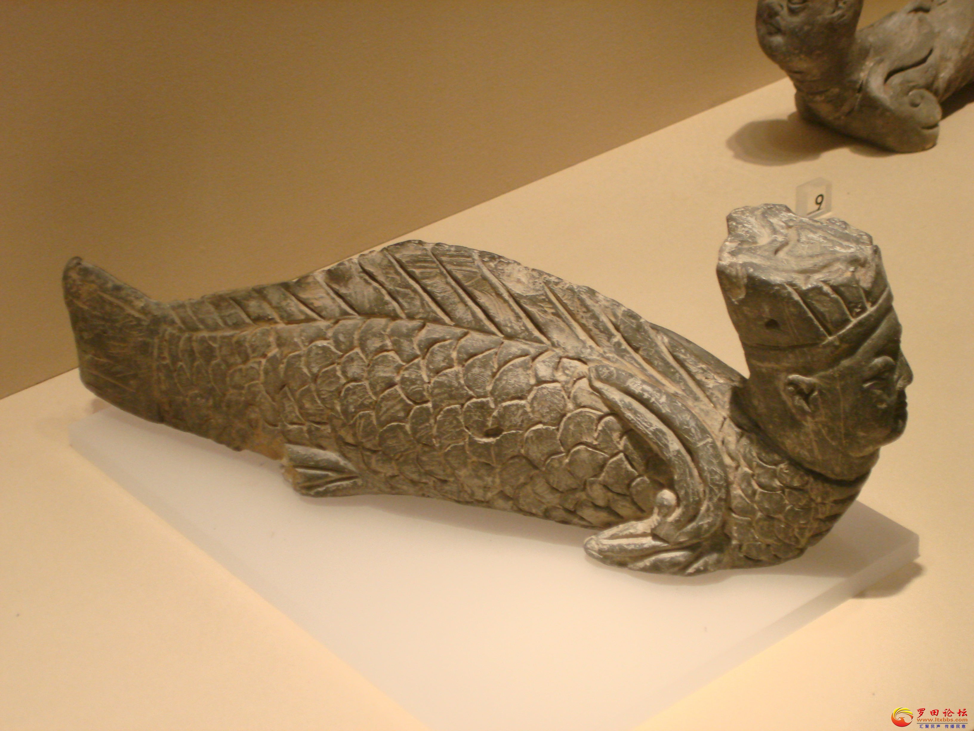 DSC02519_ͼ.jpg