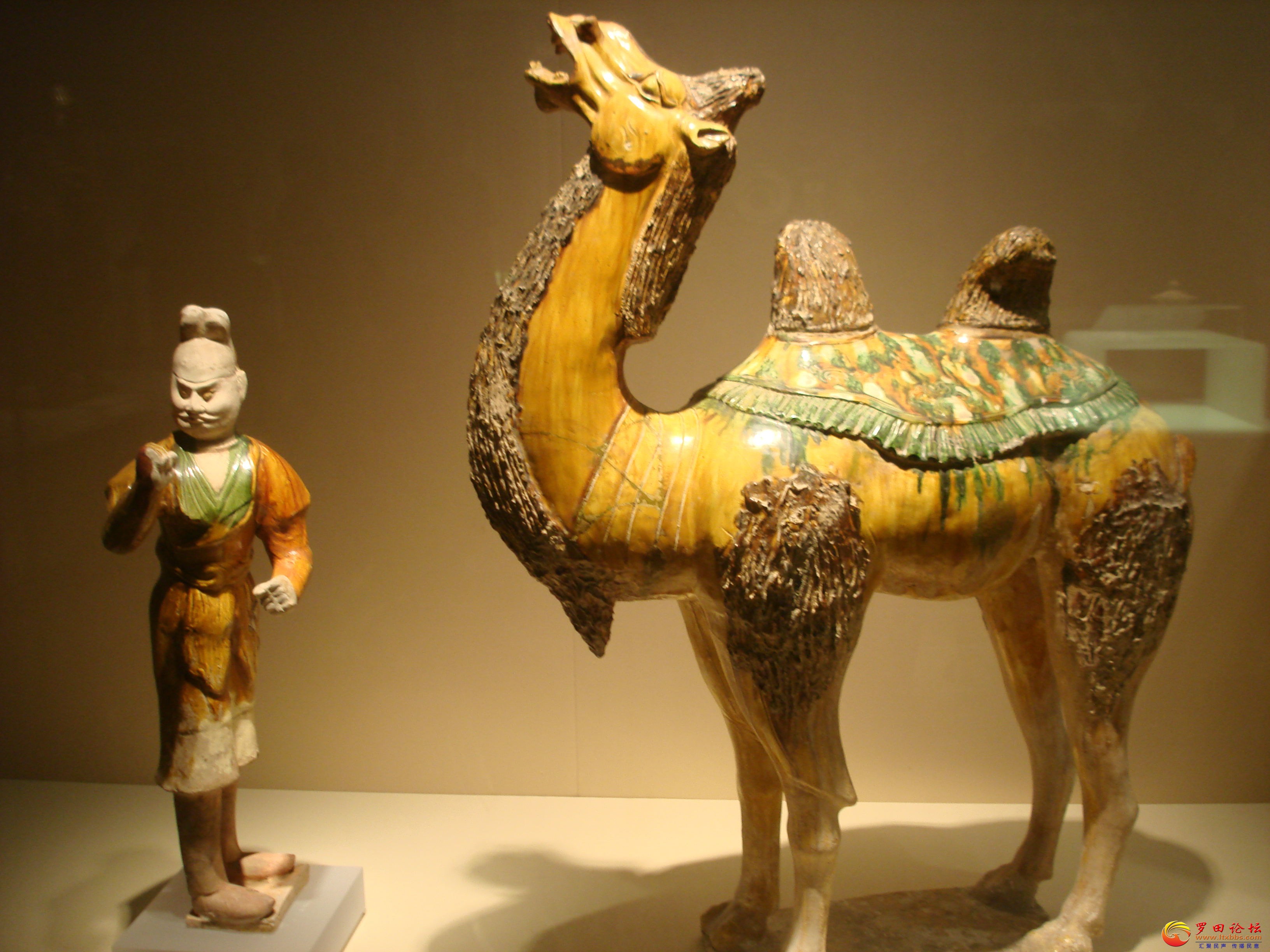 DSC02515_ͼ.jpg