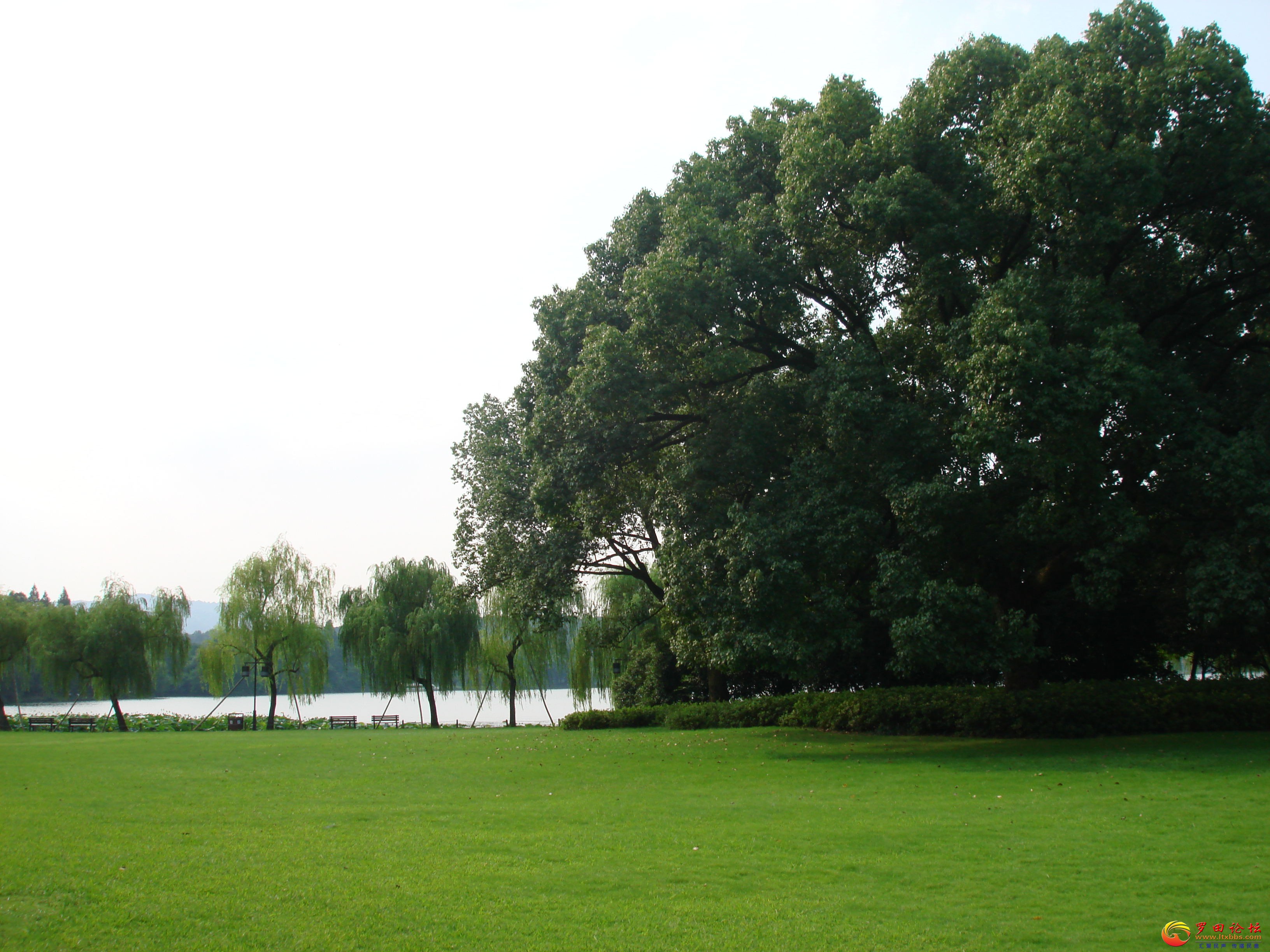 DSC02245_ͼ.jpg