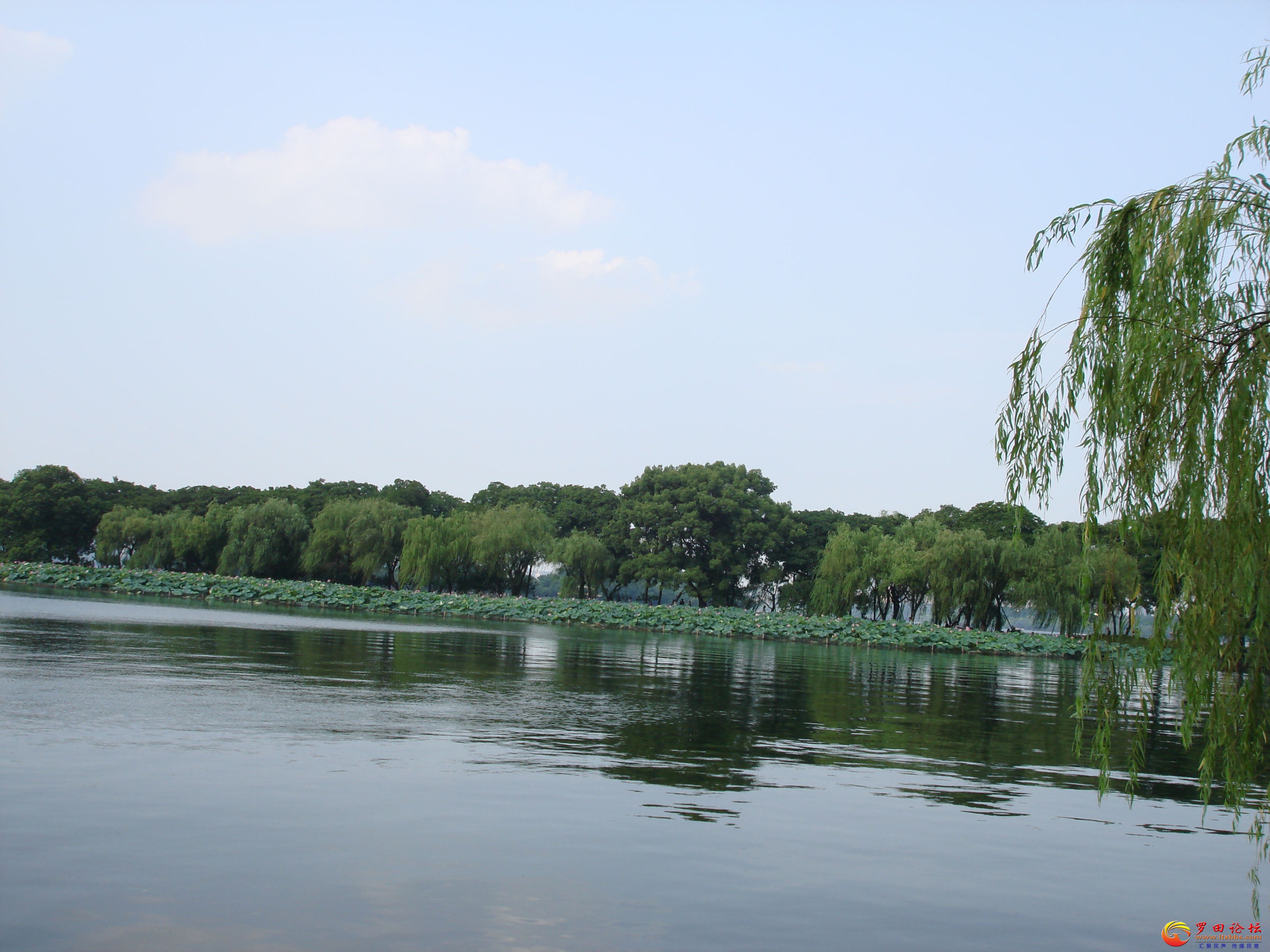 DSC02253_ͼ.jpg