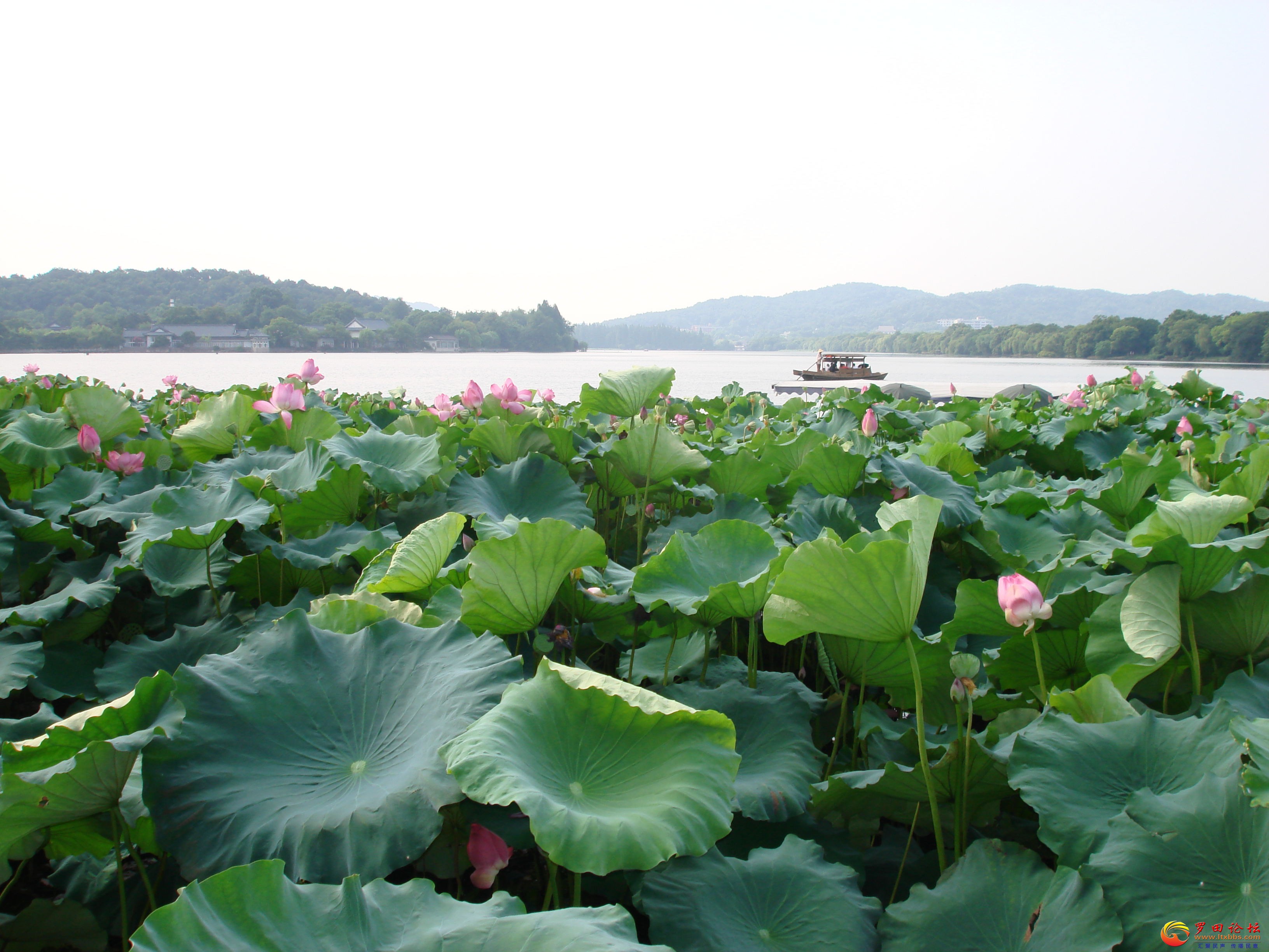 DSC02246_ͼ.jpg