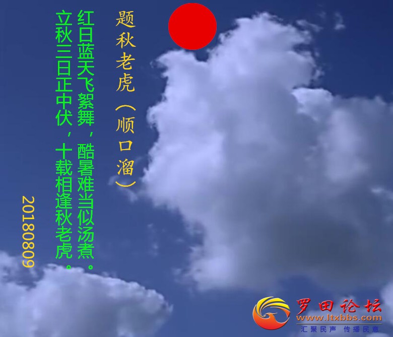 583 ϻ˳.jpg
