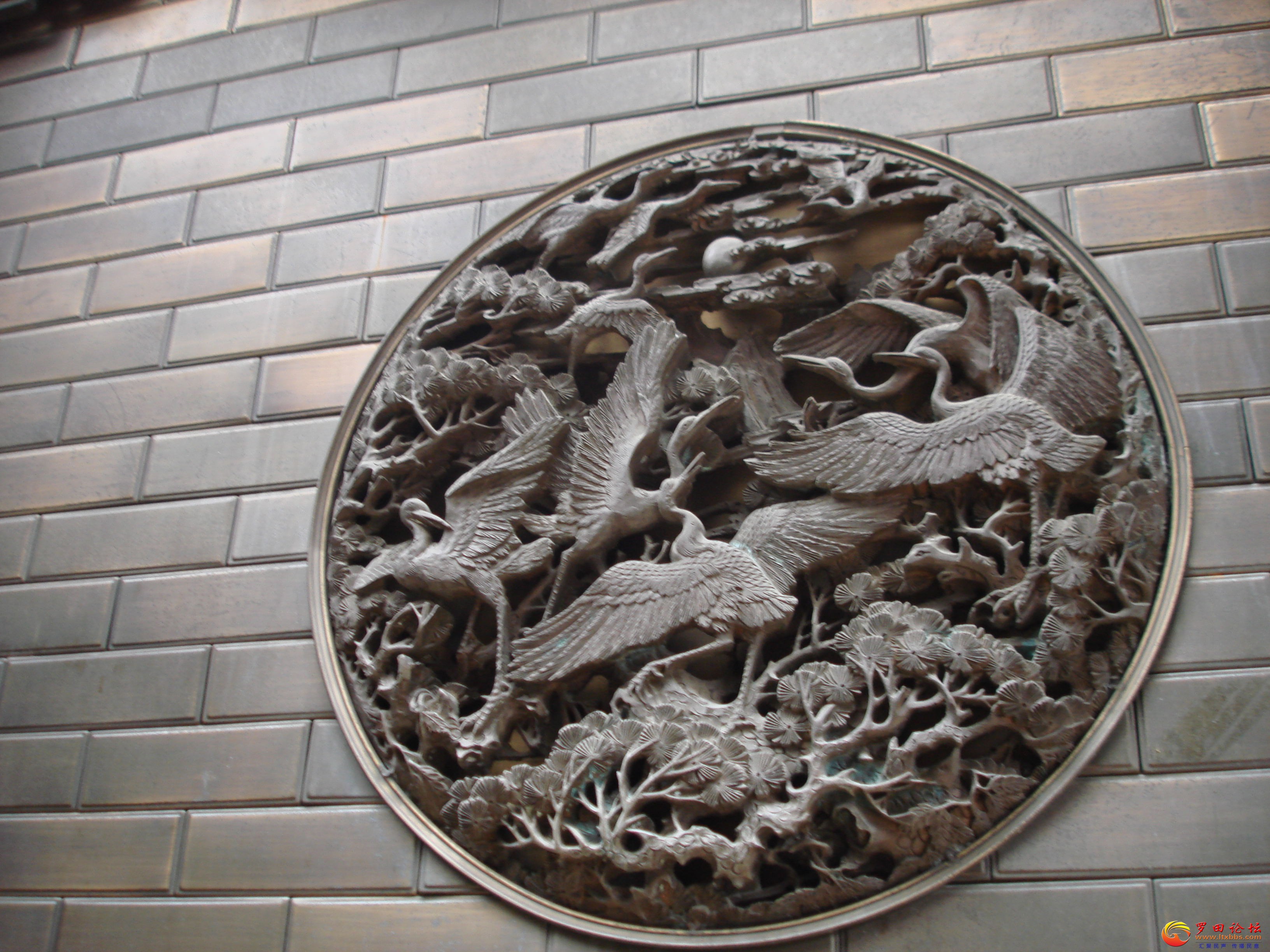 DSC02299_ͼ.jpg