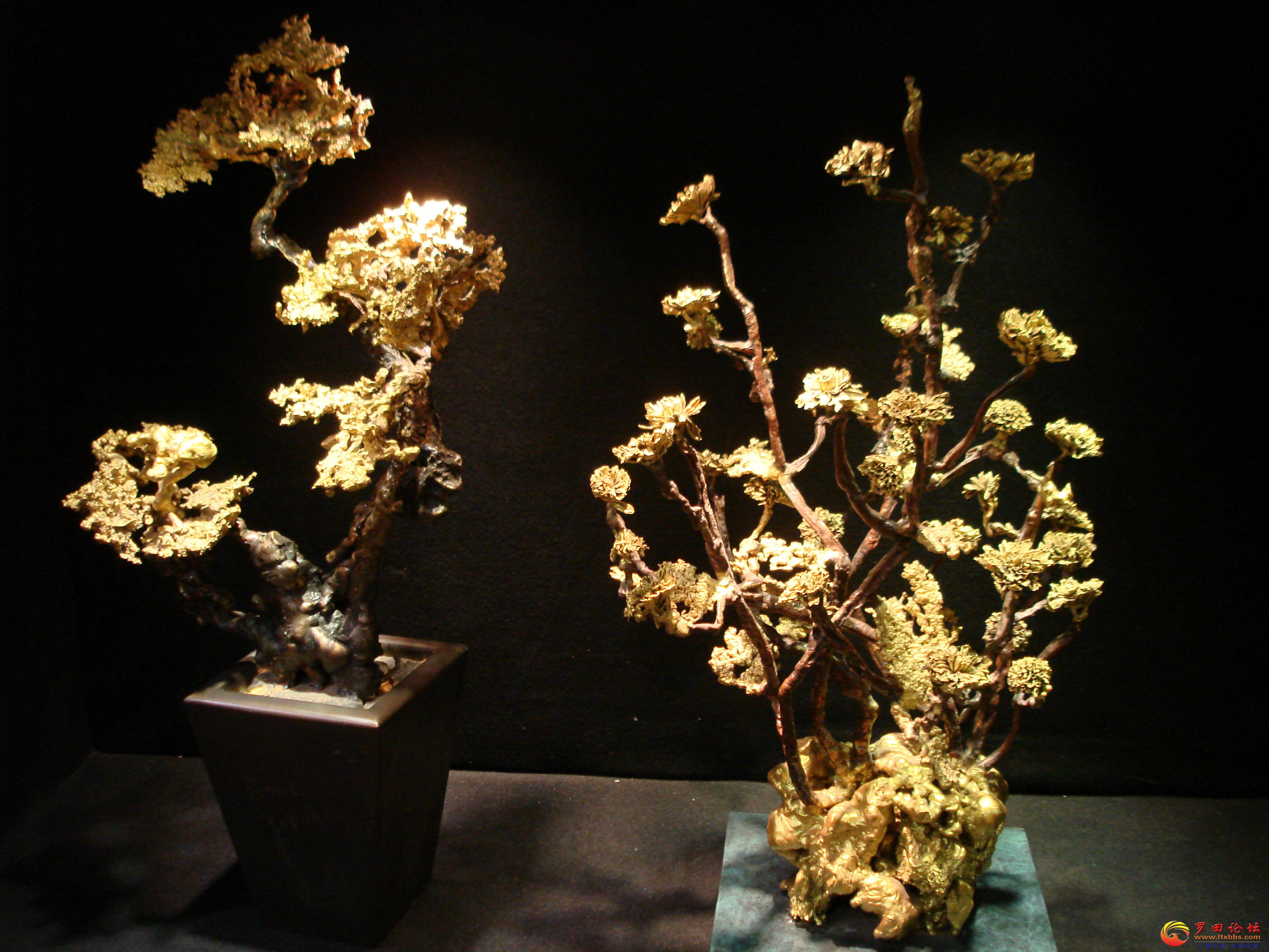 DSC02341_ͼ.jpg
