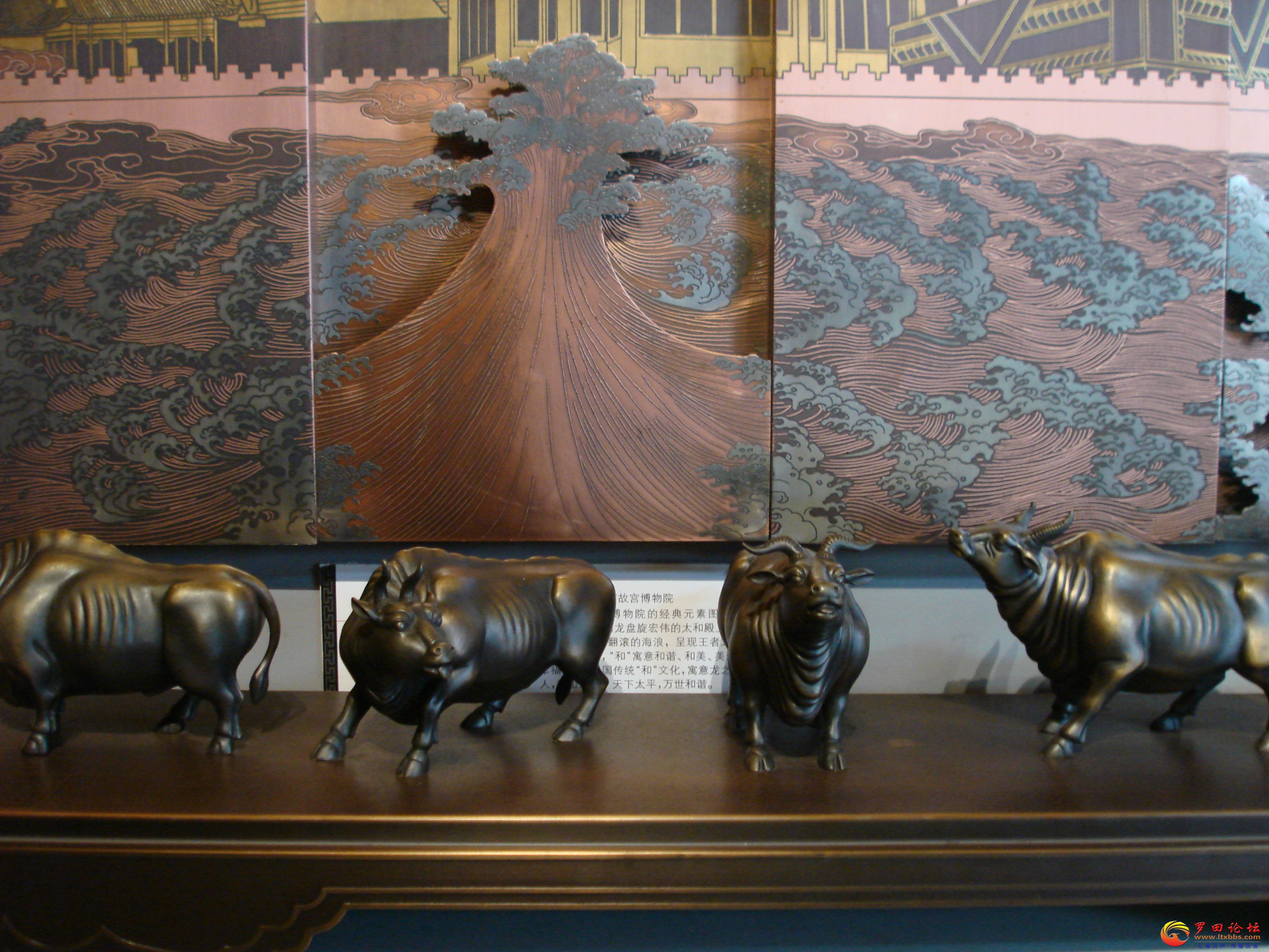 DSC02314_ͼ.jpg