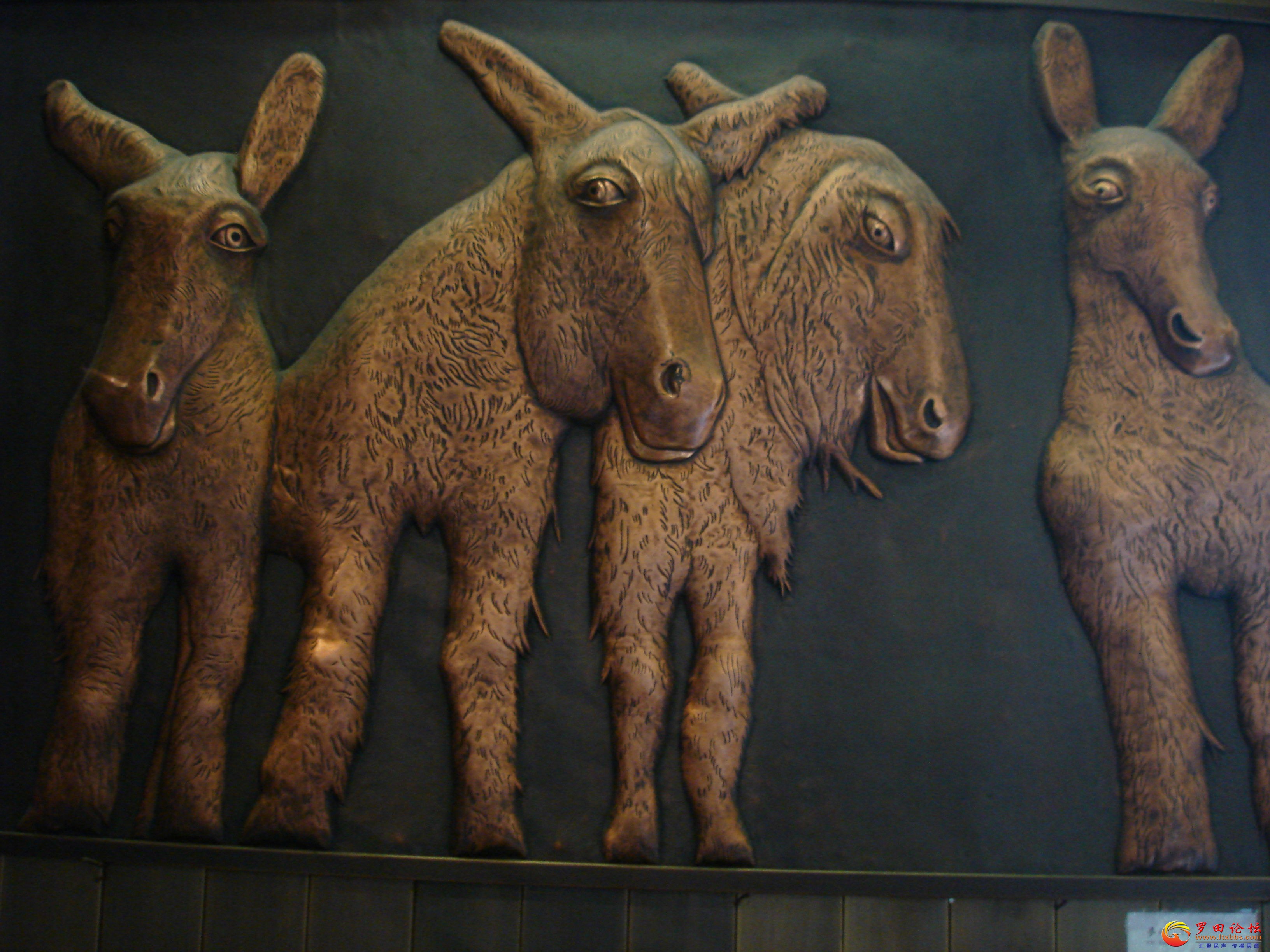 DSC02321_ͼ.jpg