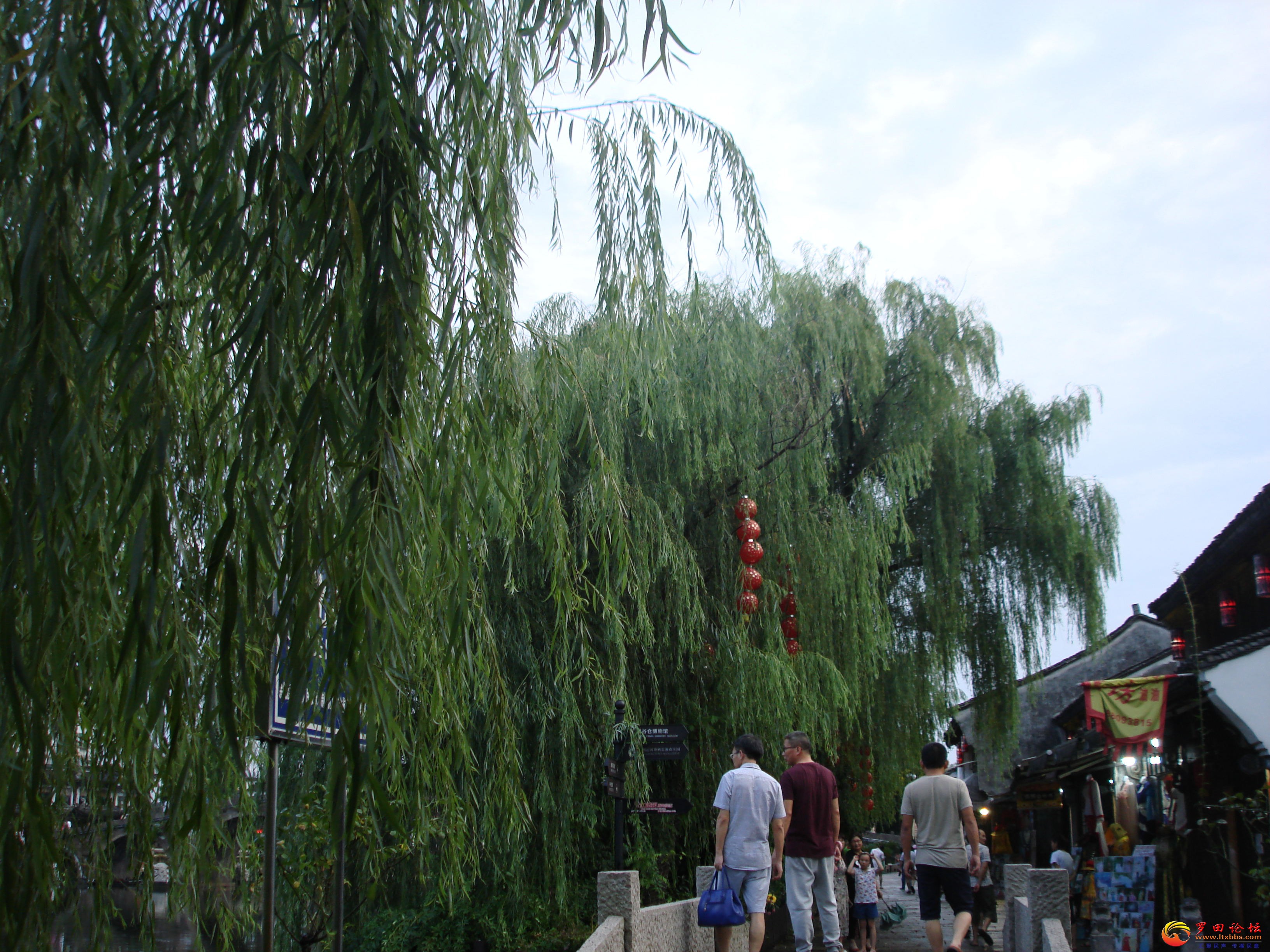 DSC02402_ͼ.jpg