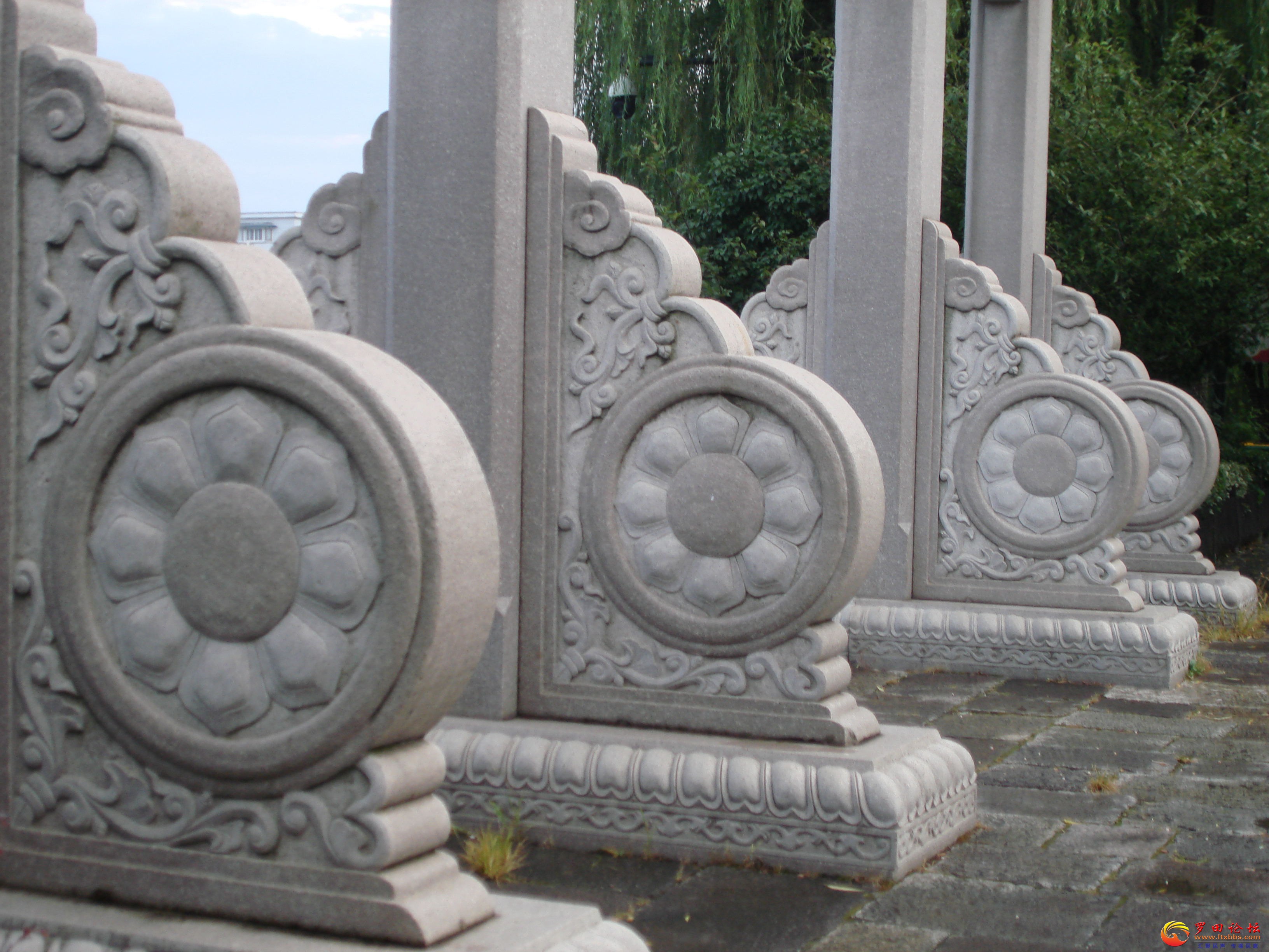 DSC02384_ͼ.jpg