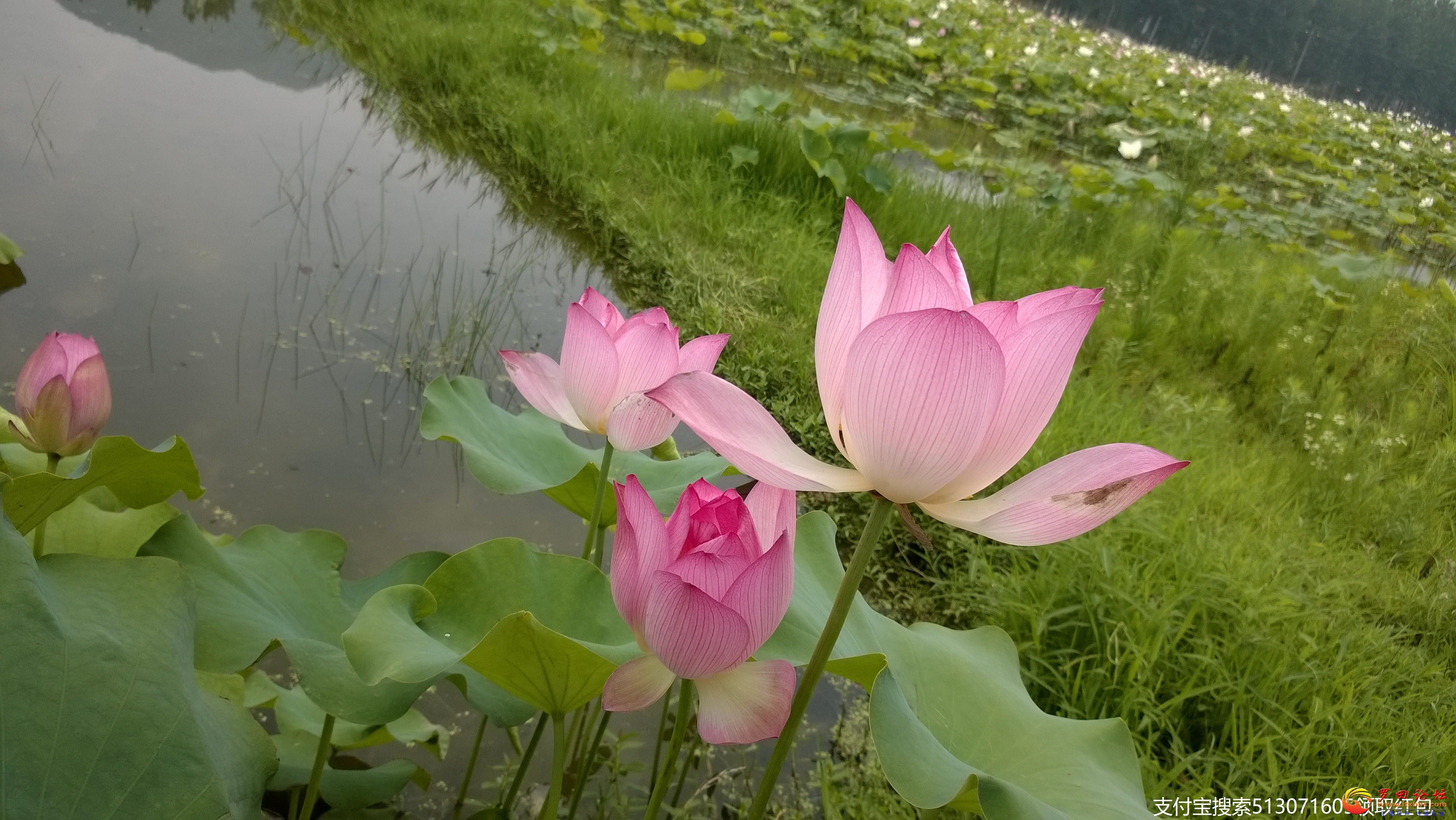 WP_20140622_10_58_28_Pro.jpg